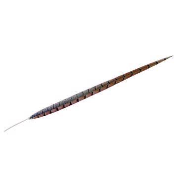 Φτερό Καφέ 70εκ FTE135K6 Espiel