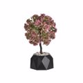 Click Futo se Gastraki Diafora Xromata PL 6-85-033-0010