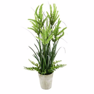 InTheBox TARRIETA Τεχνητό Φυτό PVC Πράσινο σε Μπεζ Κασπώ PE 28x25x74cm 027236