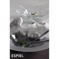 Circle Piato Risotto Spaghetti 29.5X6ek HOR1503K6 Espiel