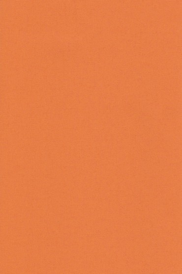 Blackout Ρόλερ 2017 πορτοκαλί μονόχρωμο