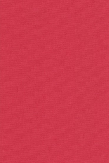 Blackout Ρόλερ 2018 κόκκινο μονόχρωμο