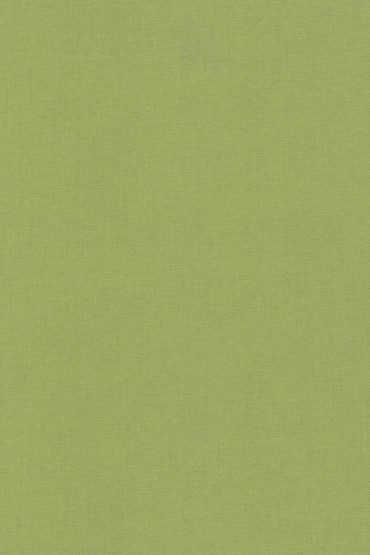 Ρόλερ 2020 black out λαχανί μονόχρωμο