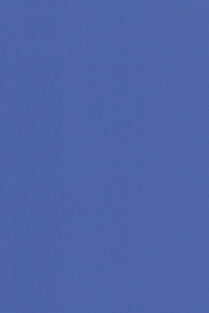 Blackout Ρόλερ 2023 μπλε μονόχρωμο