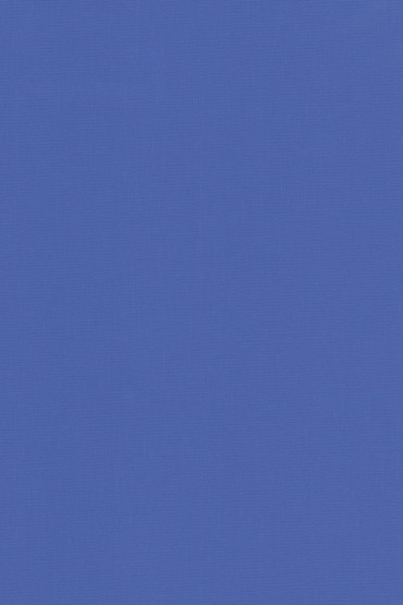 Blackout Ρόλερ 2024 μπλε σκούρο μονόχρωμο