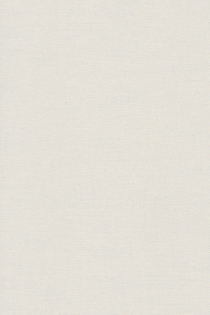 Blackout Roler 2201 ekrou monoxromo