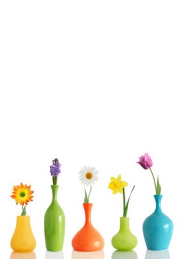 ΡΟΛΕΡ ΜΕ ΨΗΦΙΑΚΗ ΕΚΤΥΠΩΣΗ ΛΟΥΛΟΥΔΙΑ ΣΕ ΒΑΖΑΚΙΑ E107