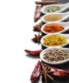 ROLER ME PsIFIAKI EKTuPOSI MPAXARIKA ''SPICES & SEASONINGS'' E110