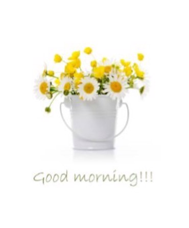 ΡΟΛΕΡ ΜΕ ΨΗΦΙΑΚΗ ΕΚΤΥΠΩΣΗ ''GOOD MORNING'' E112