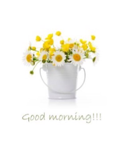 ΡΟΛΕΡ ΜΕ ΨΗΦΙΑΚΗ ΕΚΤΥΠΩΣΗ ''GOOD MORNING'' E112