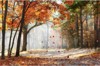 ROLER ME PsIFIAKI EKTuPOSI 'AUTUMN LEAVES' E226