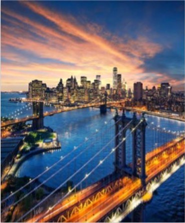 ΡΟΛΕΡ ΜΕ ΨΗΦΙΑΚΗ ΕΚΤΥΠΩΣΗ 'MANHATTAN' E250