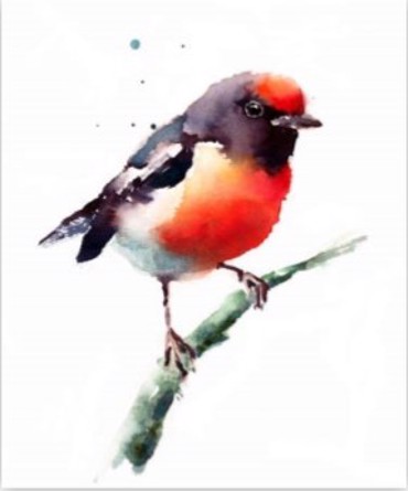 ΡΟΛΕΡ ΜΕ ΨΗΦΙΑΚΗ ΕΚΤΥΠΩΣΗ 'ΠΟΥΛΑΚΙ' E266