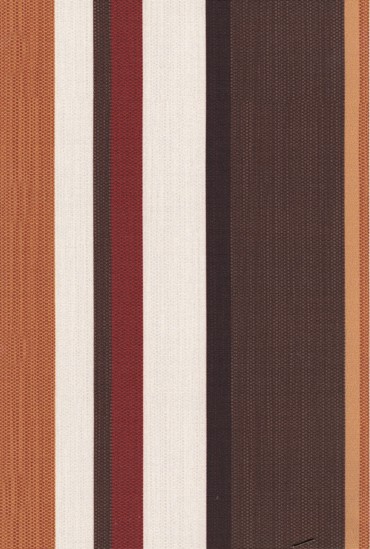 Ρόλερ B27 ριγέ καφέ 