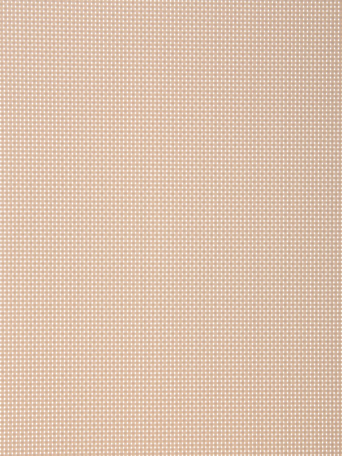 Screen 3061 kafe