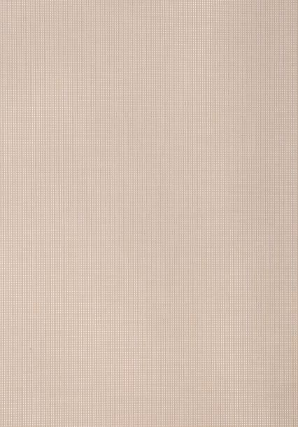 Screen 3031 εκρού