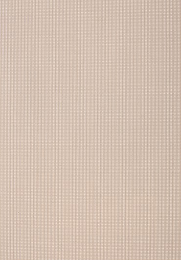 Screen 3031 εκρού