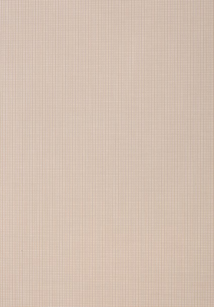 Screen 3031 εκρού