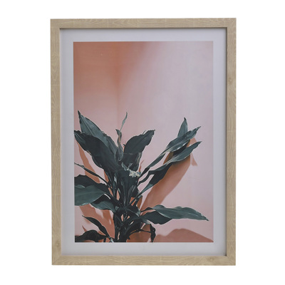 Inart Πίνακας Printed PL/Mdf Φυτό 30Χ40 3-90-763-0102