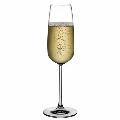 Σετ 6τμχ Nude Mirage Champagne NU66091-6 Espiel