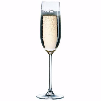 Σετ 6τμχ Nude Vintage Champagne NU66112-6 Espiel