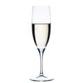 Set 6tmx Nude Primeur Champagne NU67009-6 Espiel