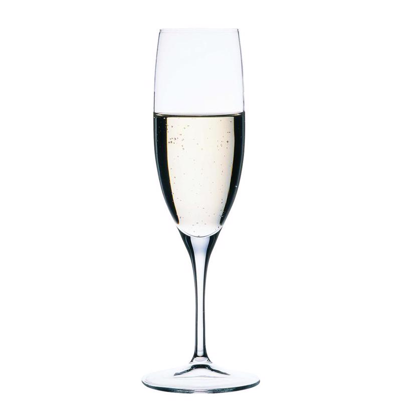 Set 6tmx Nude Primeur Champagne NU67009-6 Espiel