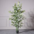 Supergreens Texnito Dentro Bampou Lucky 182cm 1160-6