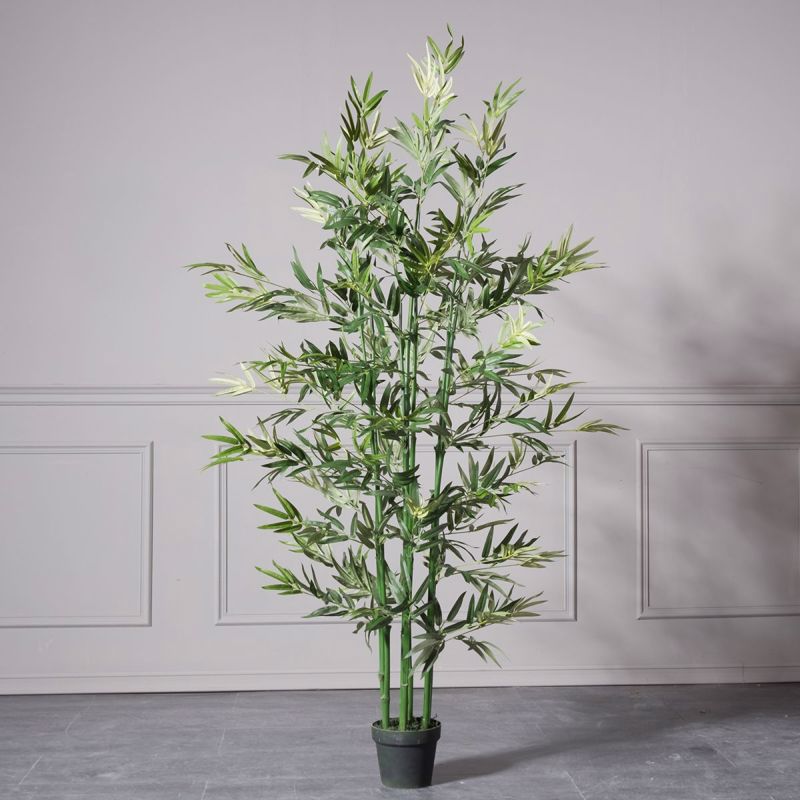 Supergreens Texnito Dentro Bampou Lucky 182cm 1160-6