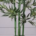 Supergreens Texnito Dentro Bampou Lucky 182cm 1160-6