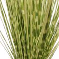 Supergreens Texnito Futo Stipa ''Zebra'' Prasino 120cm 1490-6