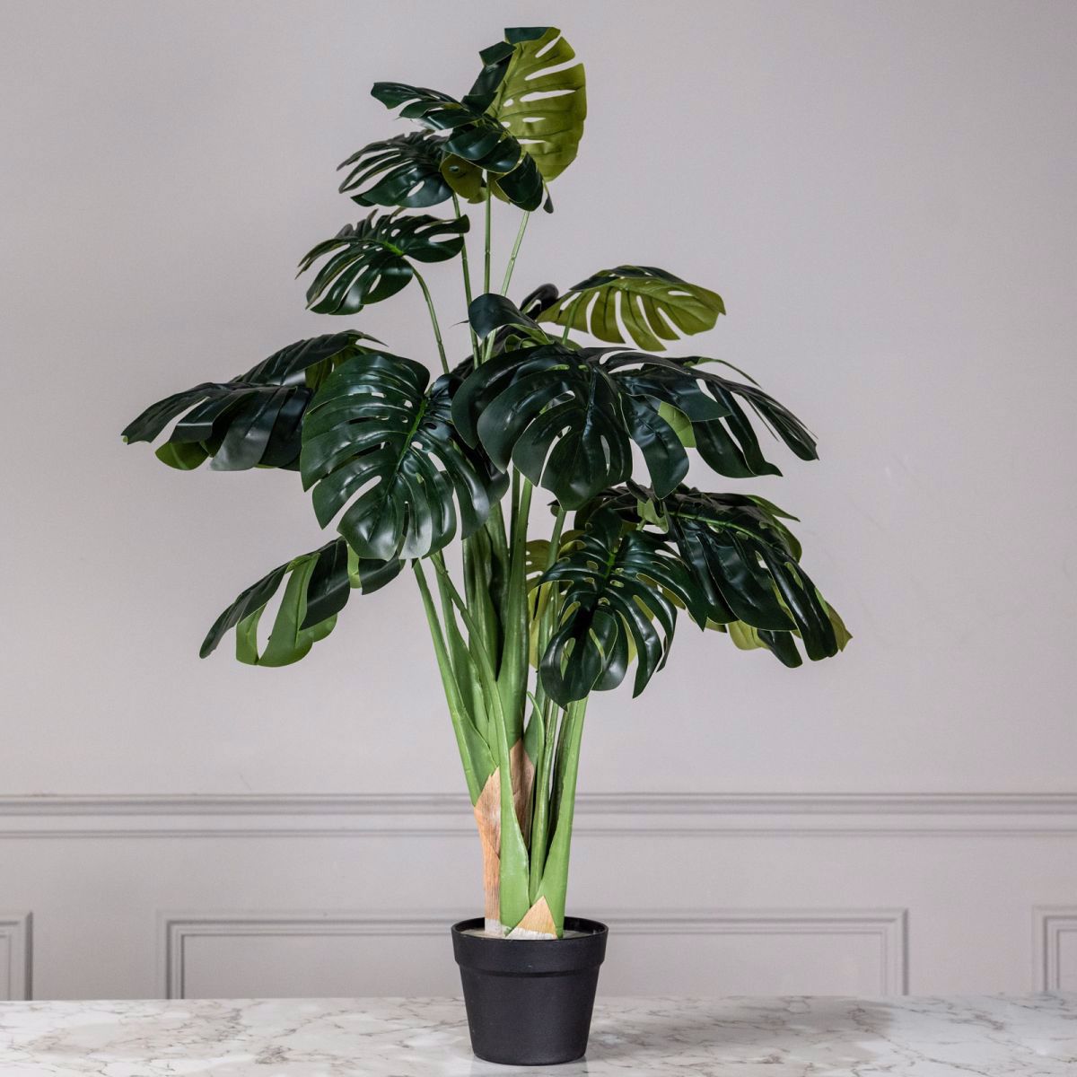 Supergreens Texnito Dentro Monstera 110cm 1880-6