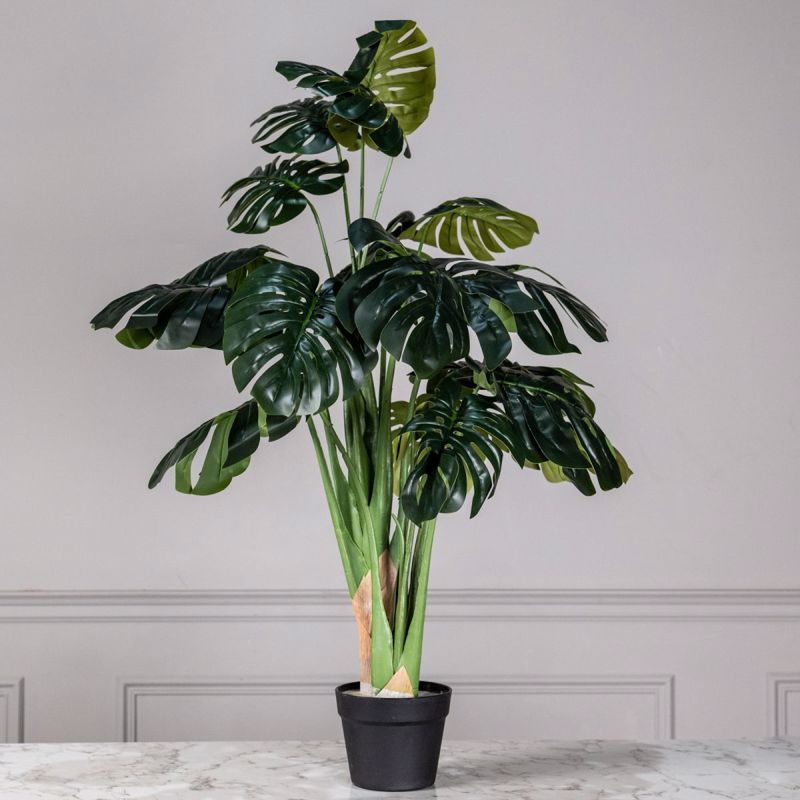 Supergreens Texnito Dentro Monstera 110cm 1880-6