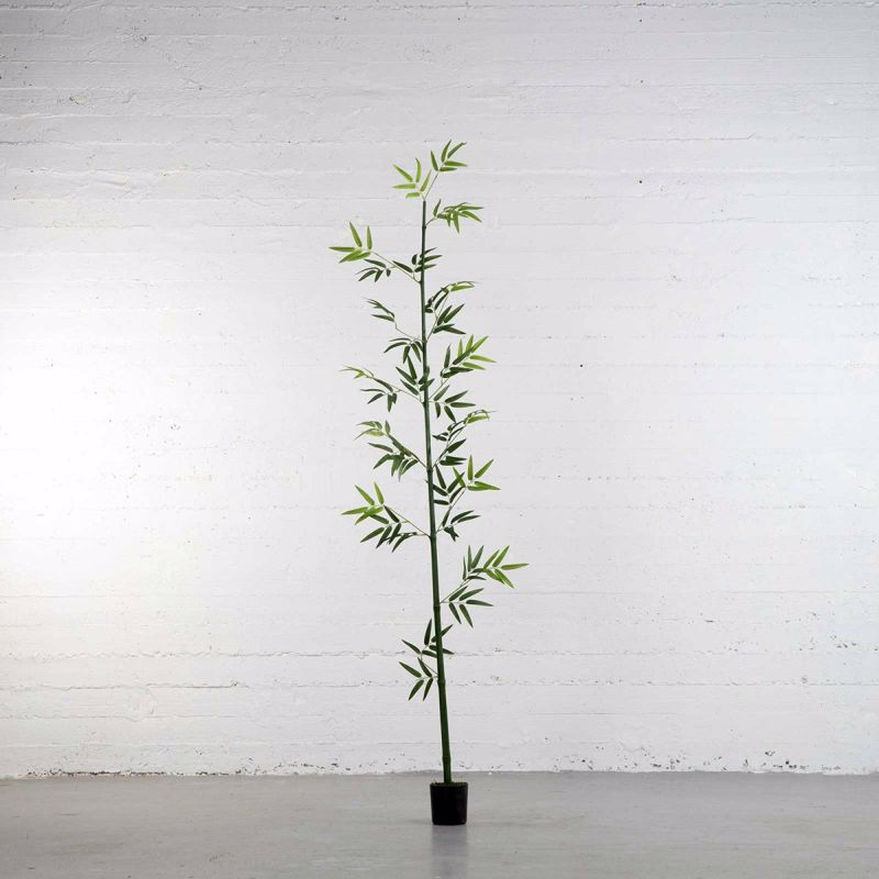 Supergreens Texnito Dentro Mono Bampou Lucky 183cm 2240-6