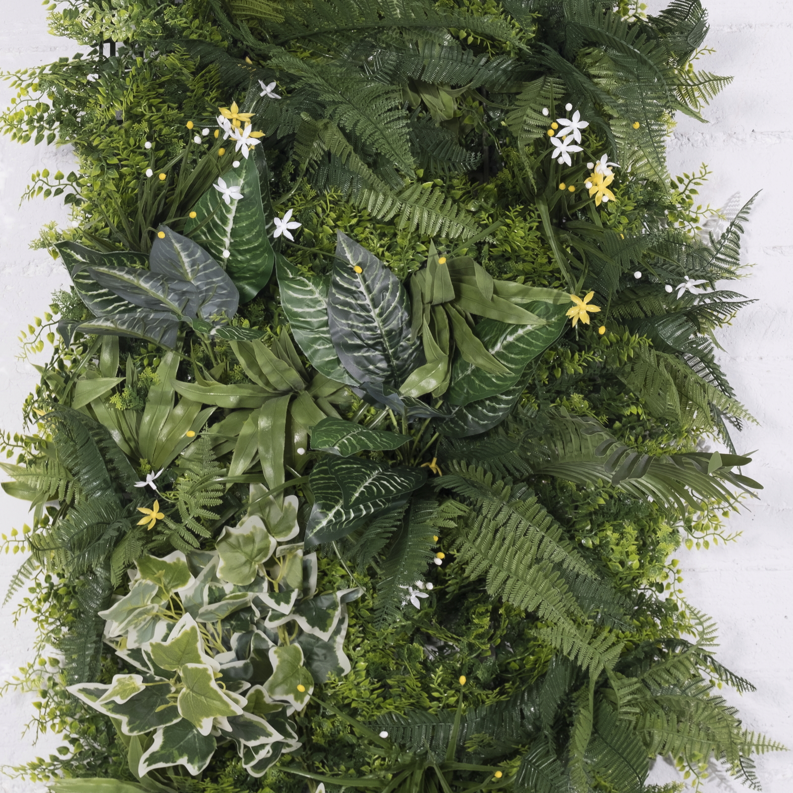 /filemanager/supergreens/2291-7-3.jpg