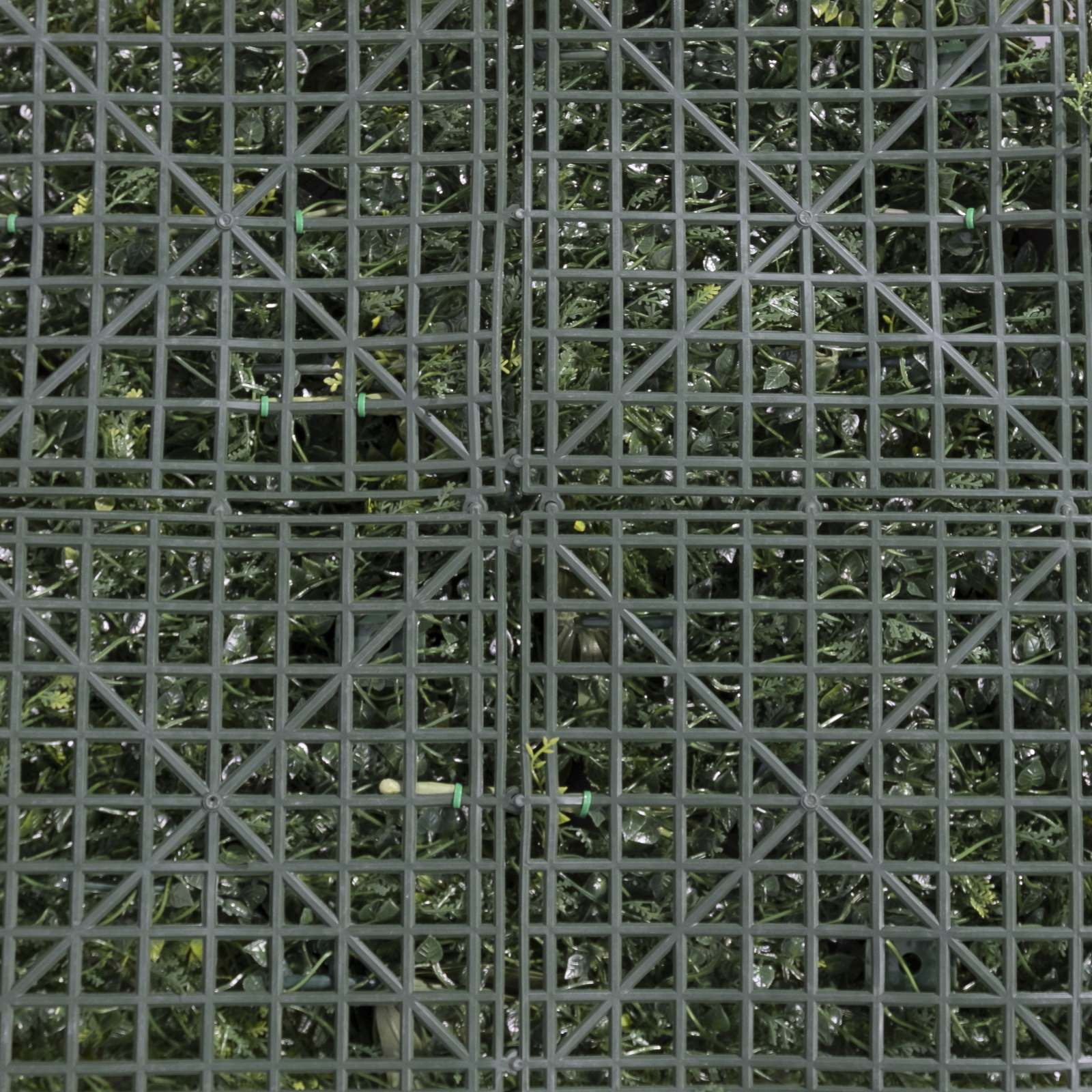 /filemanager/supergreens/2291-7_4.jpg