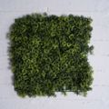 Supergreens Texniti Fullosia Reindeer Moss 50x50cm 2351-7