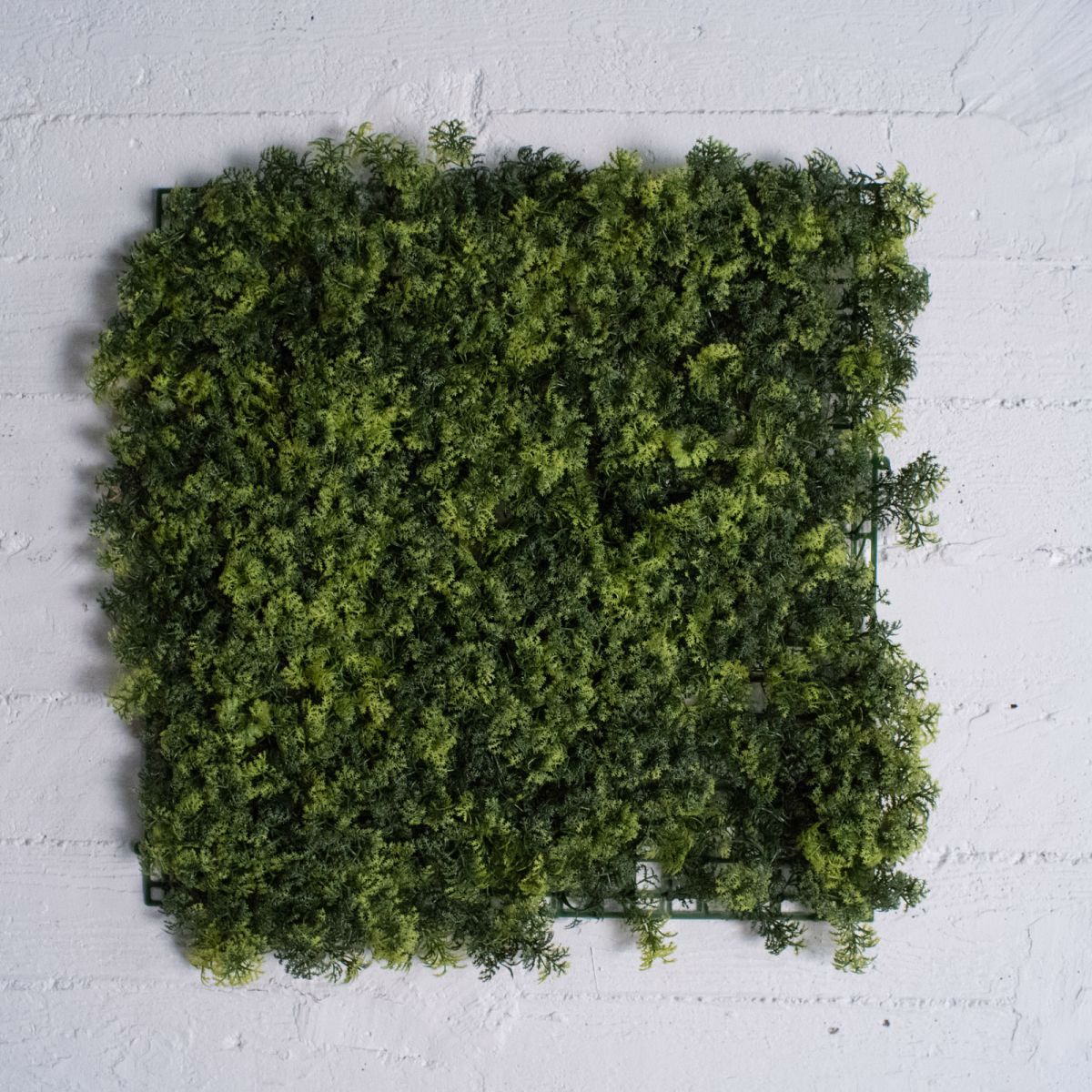 Supergreens Texniti Fullosia Reindeer Moss 50x50cm 2351-7