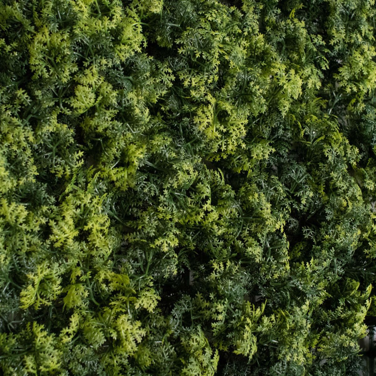 Supergreens Texniti Fullosia Reindeer Moss 50x50cm 2351-7