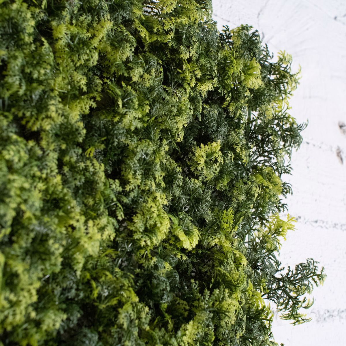Supergreens Texniti Fullosia Reindeer Moss 50x50cm 2351-7
