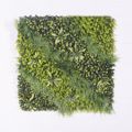 Supergreens Texniti Fullosia Puxari me Fteri ''Fernovox'' 100x100cm 3291-7