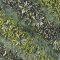 Supergreens Texniti Fullosia Puxari me Fteri ''Fernovox'' 100x100cm 3291-7