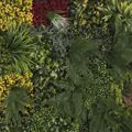 Supergreens Texniti Fullosia Fteri Mix ''Lith'' 100x100cm 4291-7