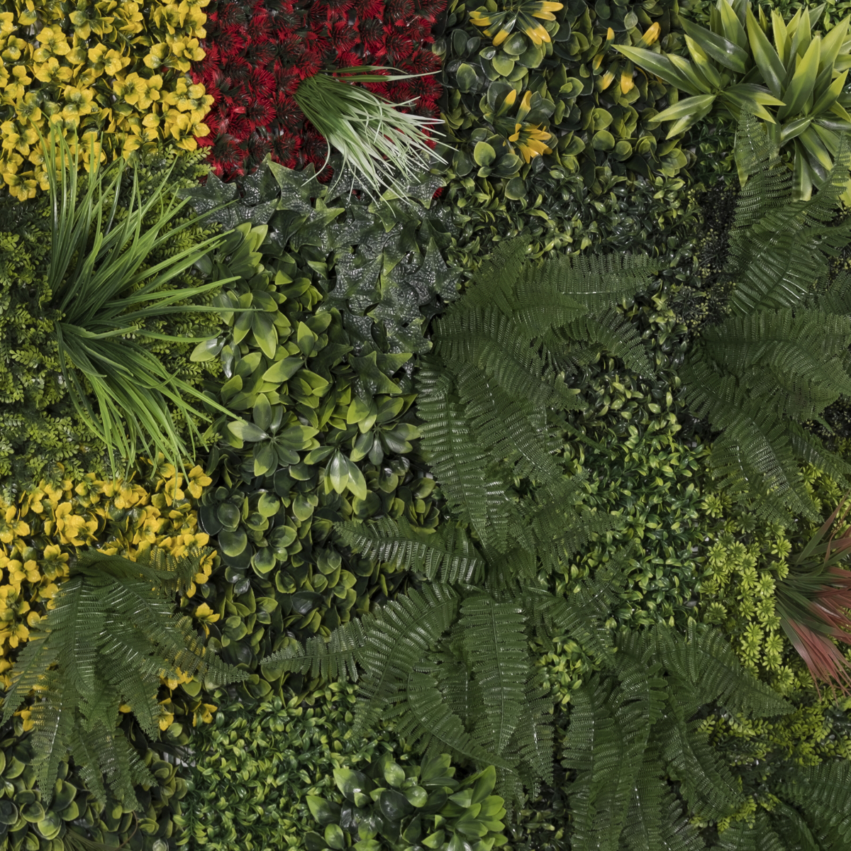Supergreens Texniti Fullosia Fteri Mix ''Lith'' 100x100cm 4291-7