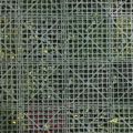 Supergreens Texniti Fullosia Fteri Mix ''Lith'' 100x100cm 4291-7