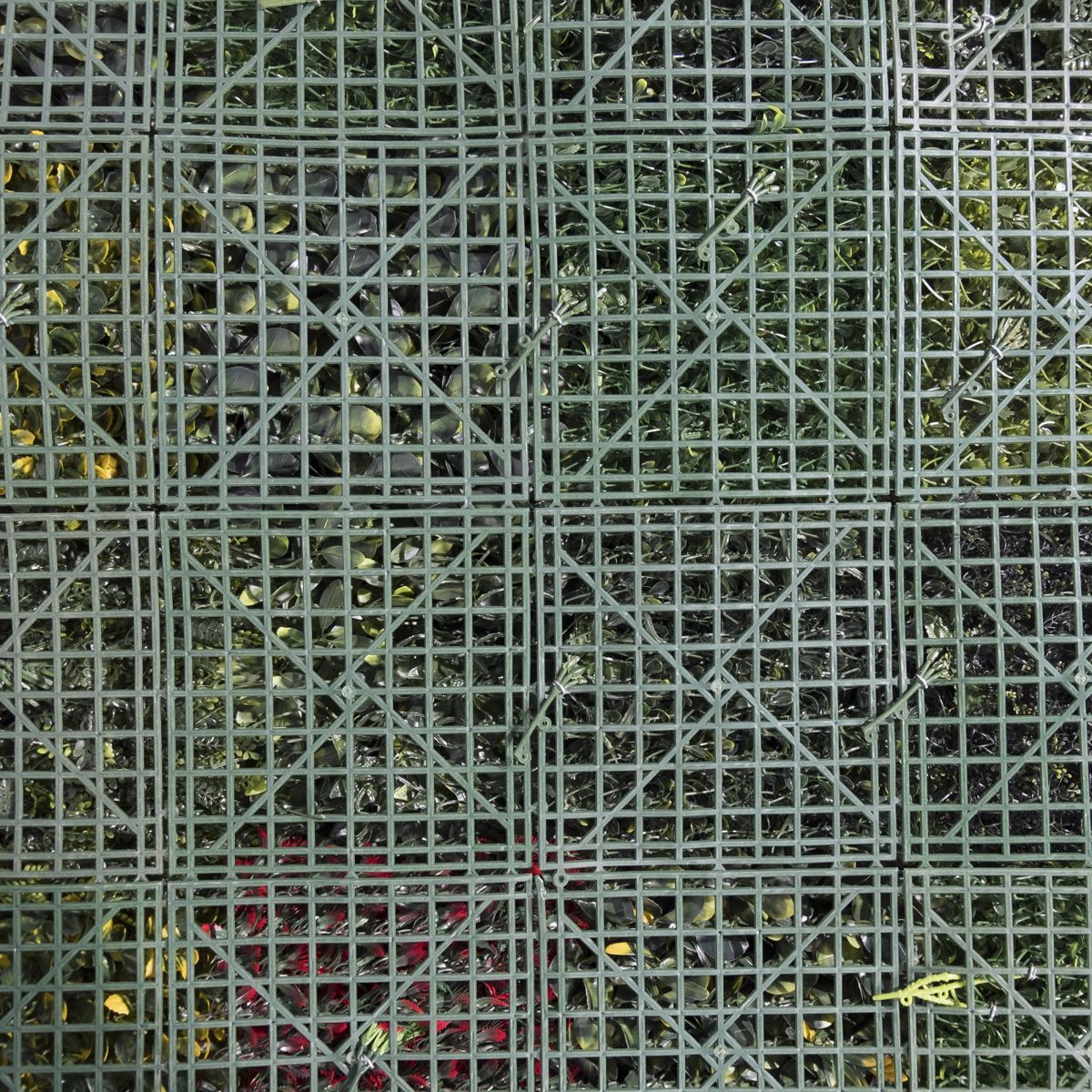 Supergreens Texniti Fullosia Fteri Mix ''Lith'' 100x100cm 4291-7