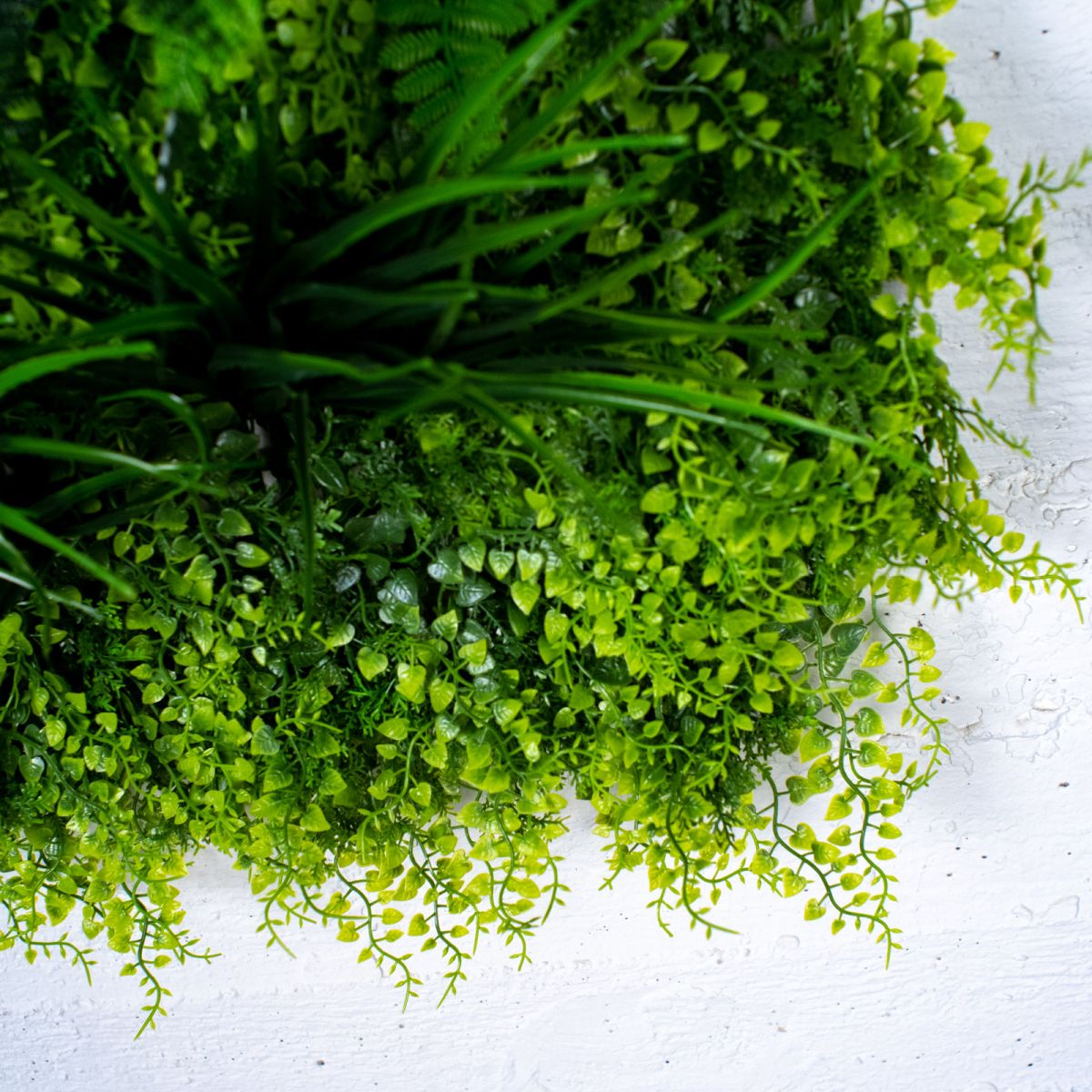/filemanager/supergreens/4321-7_3.jpg