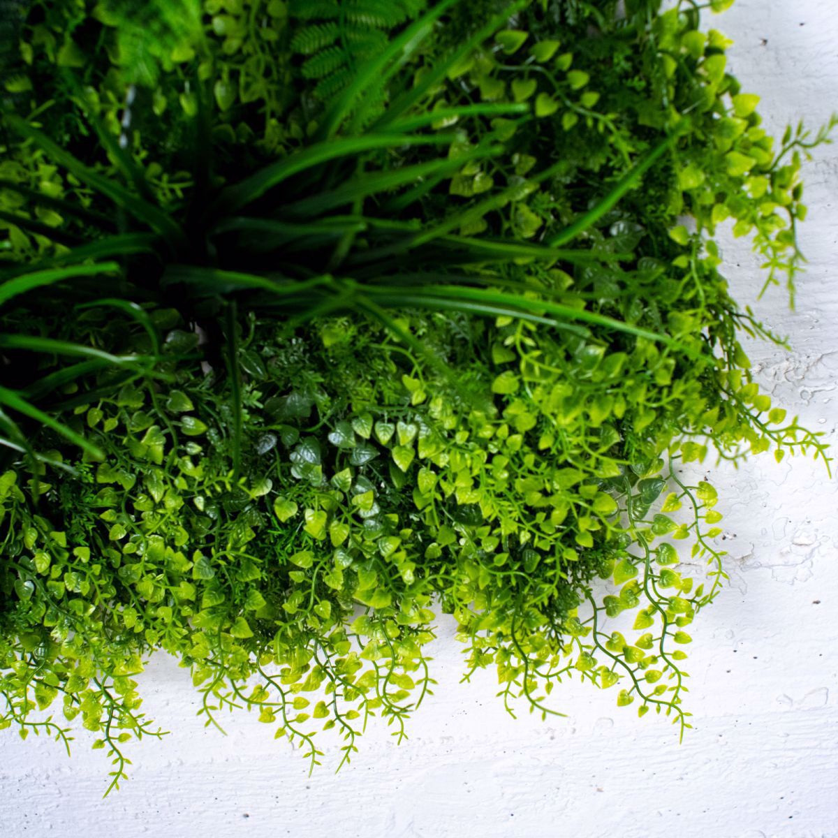 Supergreens Texniti Fullosia Fteri ''Jungle'' 100x100cm 4321-7
