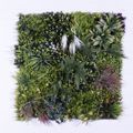 Supergreens Texniti Fullosia Fikos me Fteri ''Flux'' 100x100cm 5291-7