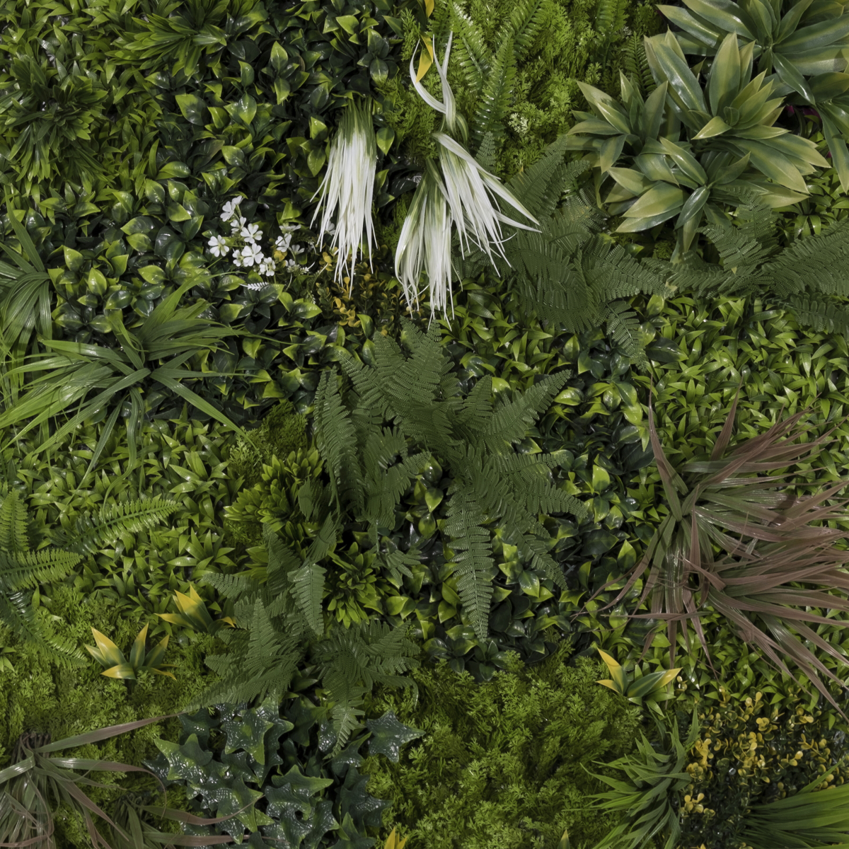 Supergreens Texniti Fullosia Fikos me Fteri ''Flux'' 100x100cm 5291-7